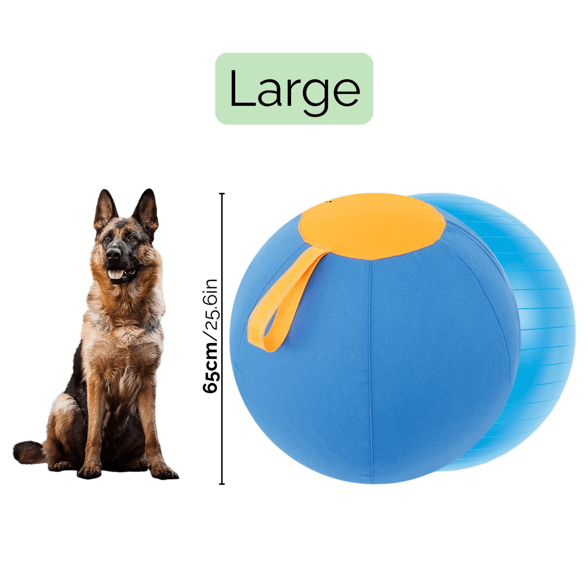 Interactive Herding Ball for Active Dogs – PawDaily™