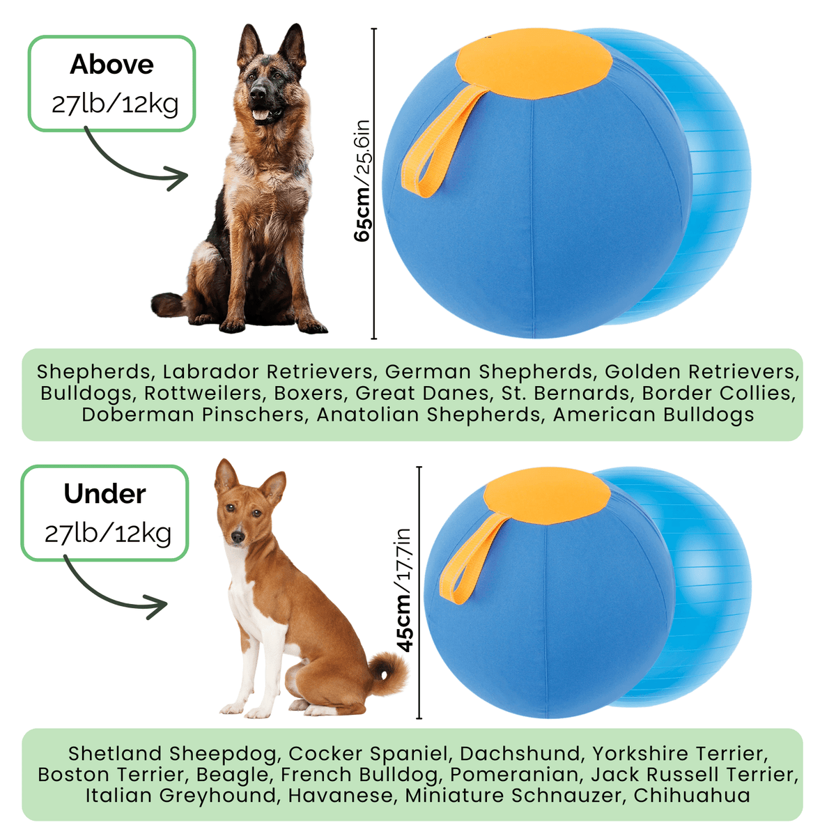Interactive Herding Ball for Active Dogs – PawDaily™