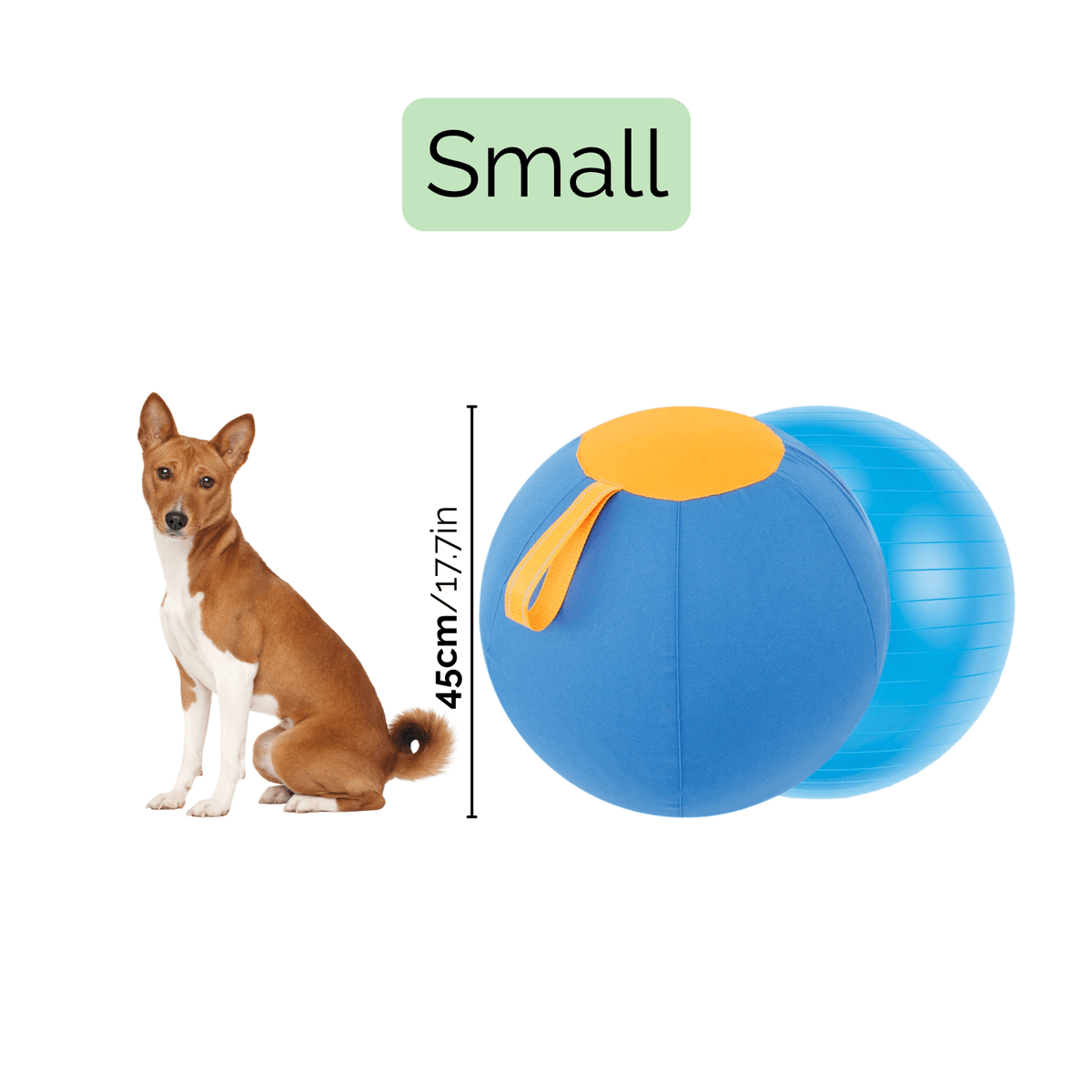 Interactive Herding Ball for Active Dogs – PawDaily™