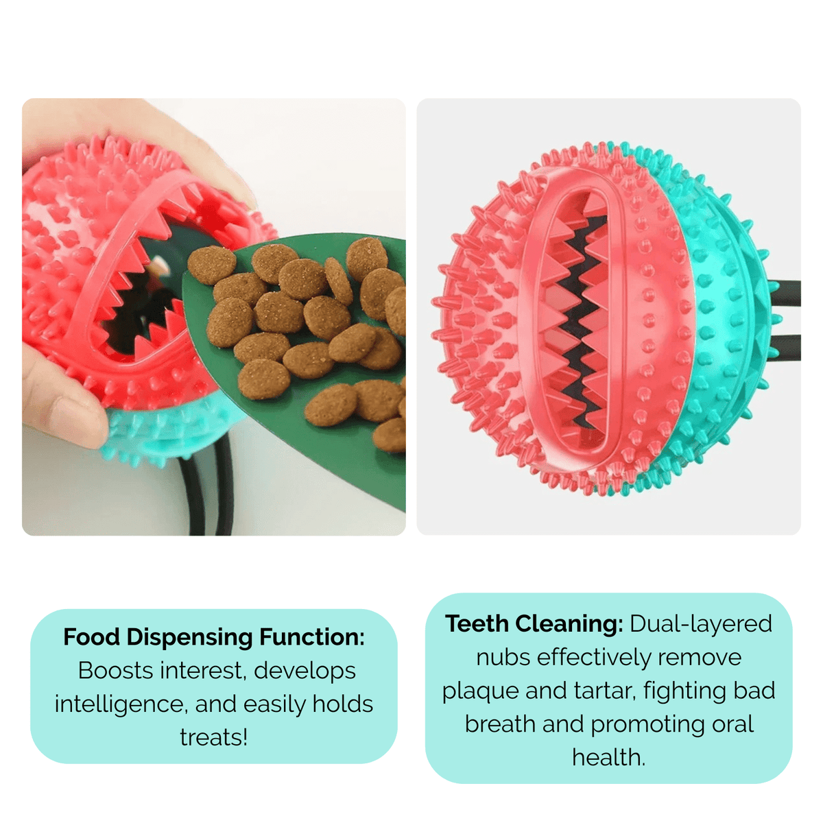 Interactive Dog Ball with Suction Cup & Slow Feeder – BrainCore™