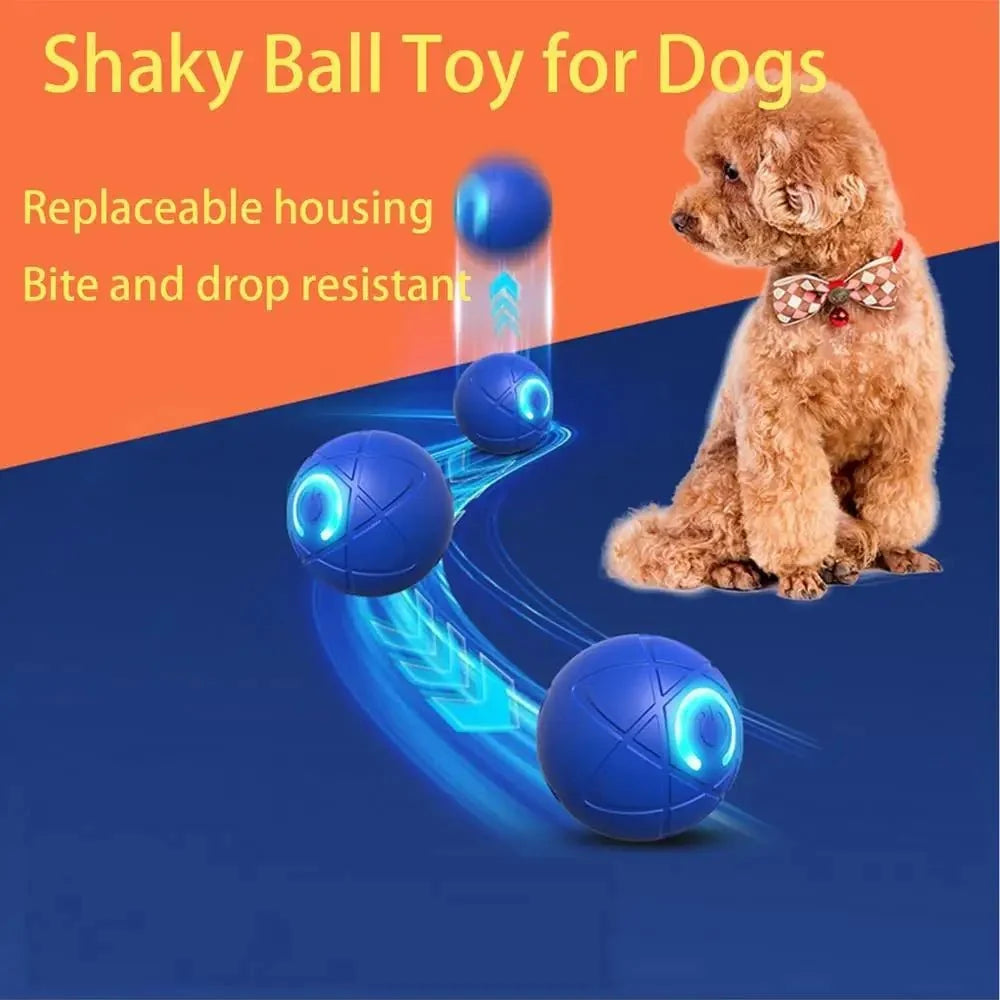 Interactive Rolling LED Ball for Dogs – PurrStyle™