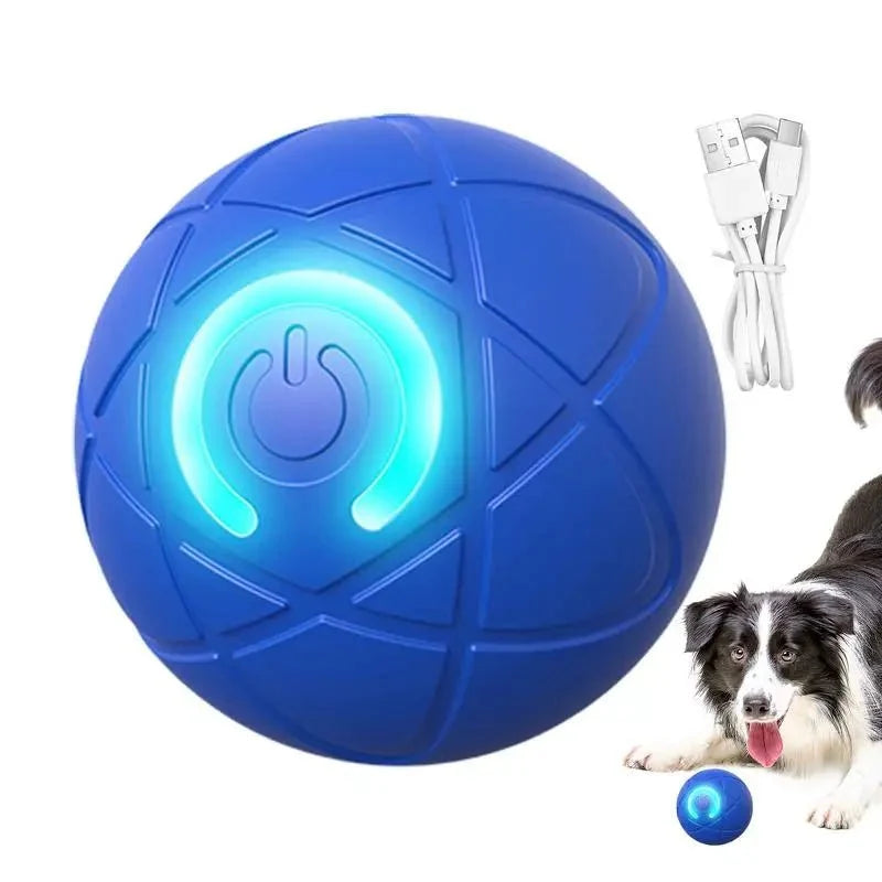 Interactive Rolling LED Ball for Dogs – PurrStyle™