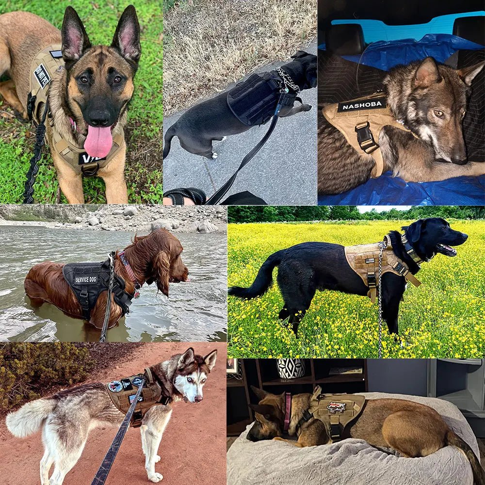 Tactical Dog Harness – HoldPlus™