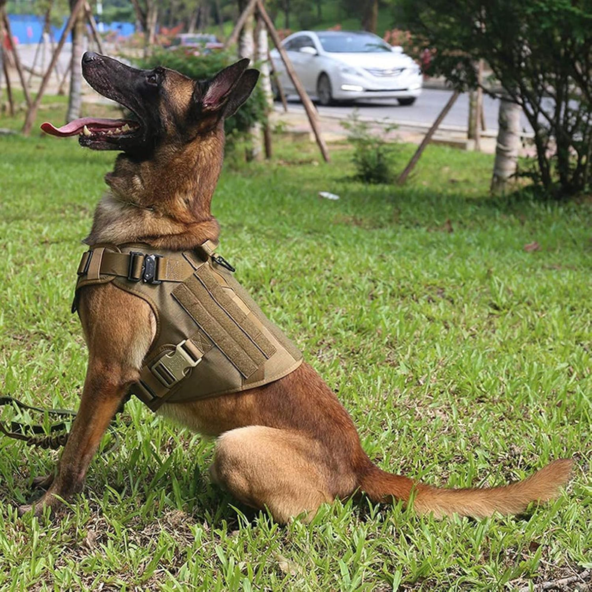 Tactical Dog Harness – HoldPlus™