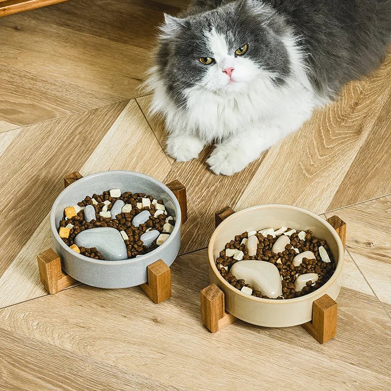 Slow-Feeding Pet Bowl for Dogs – TreatNest™