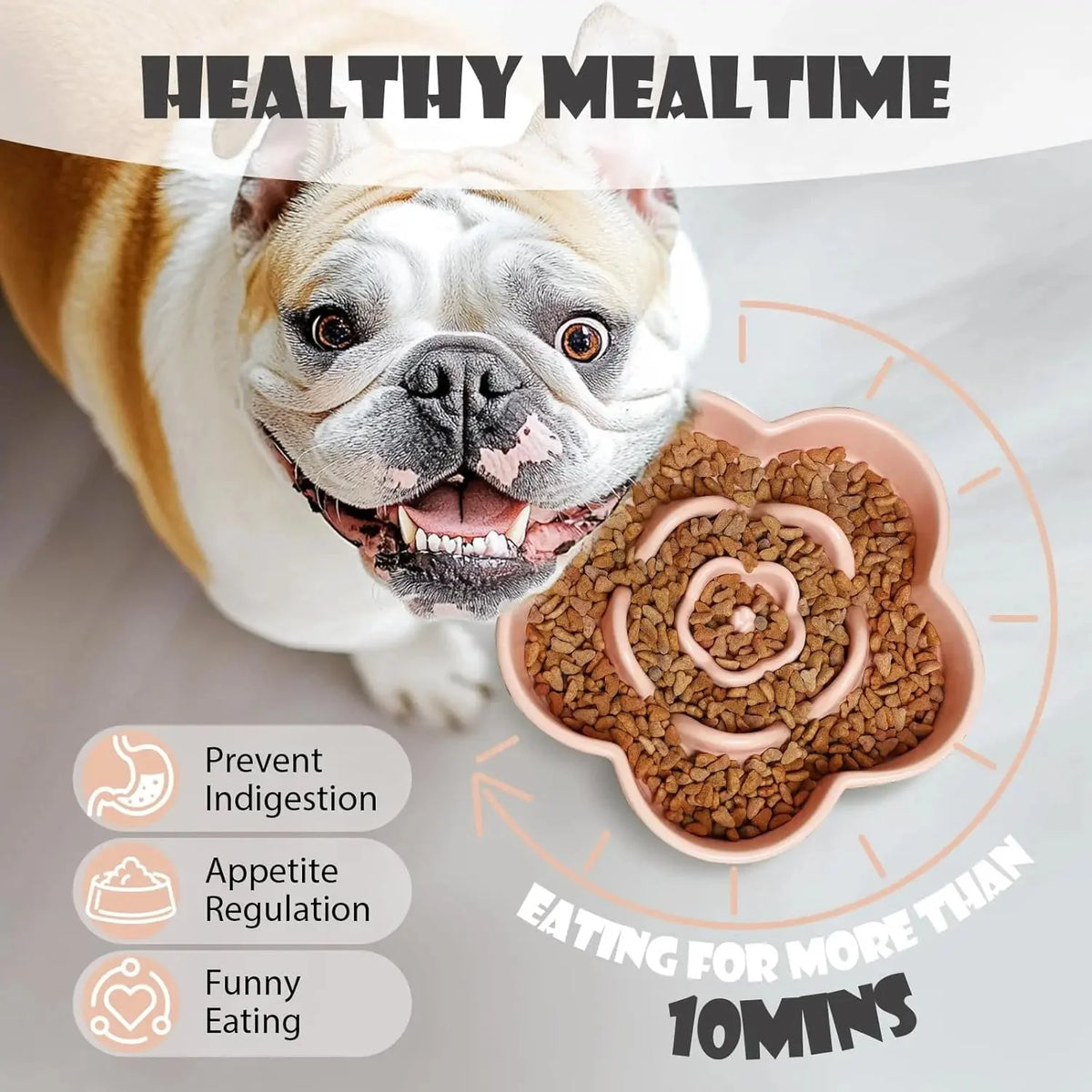 Ceramic Slow Feeder Bowl for Small Dogs – DineShield™