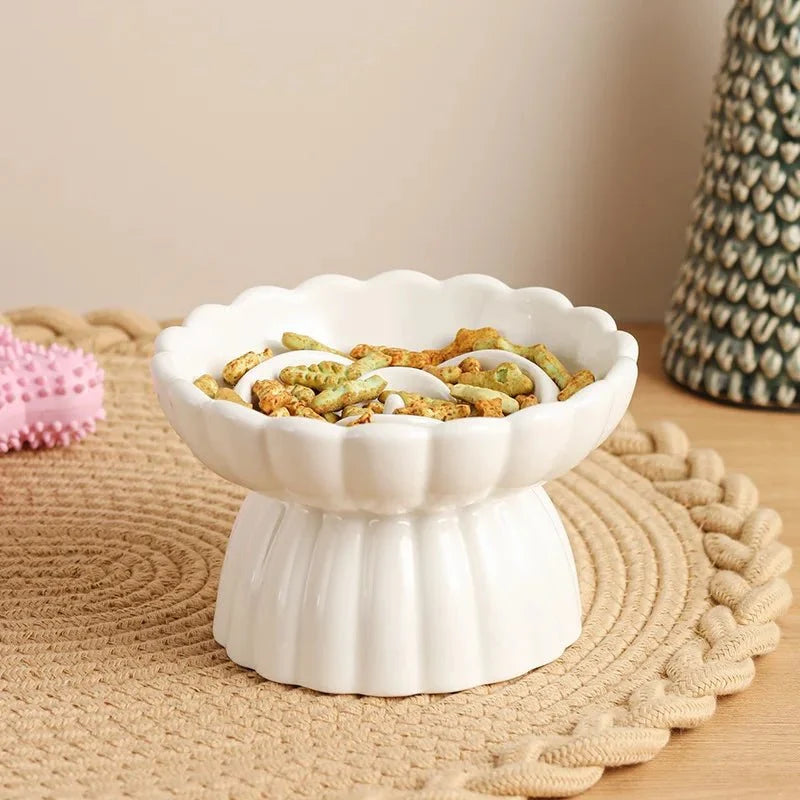 Ceramic Slow Feeder Bowl for Dogs & Cats – FeedWorks™