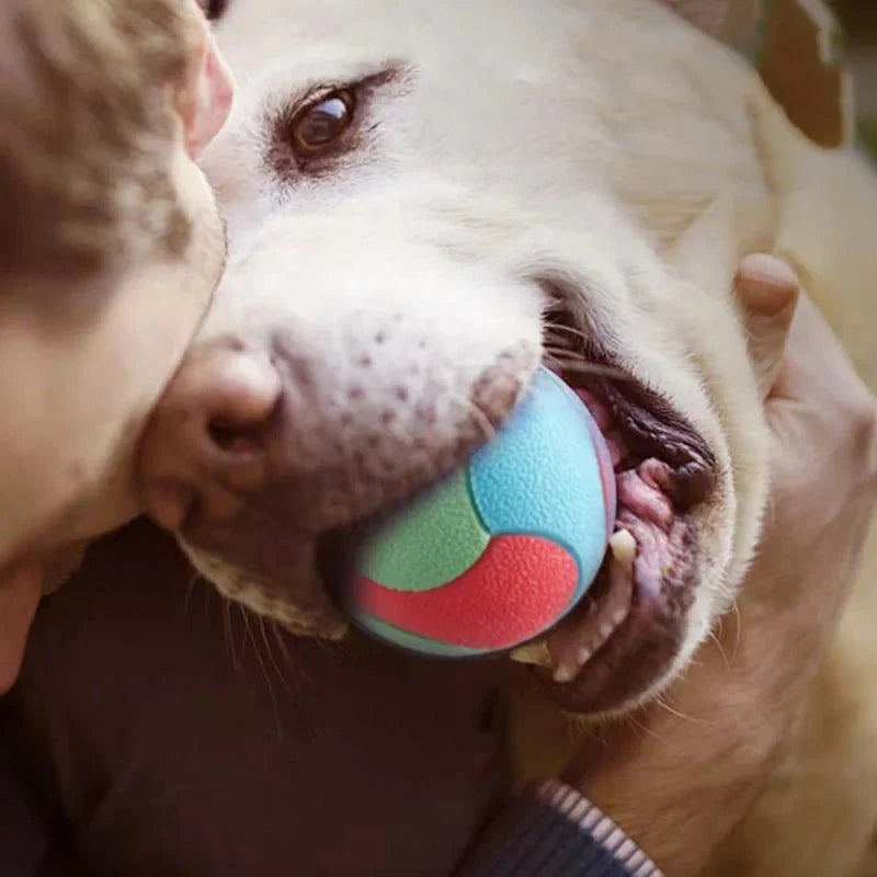 Bite-Resistant Interactive Dental Ball for Dogs – JoyWave™
