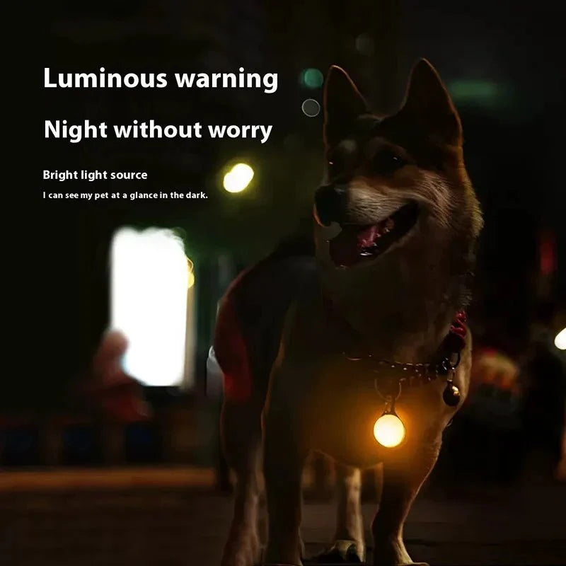 LED Pet Collar Light for Dogs & Cats – LeadMate™