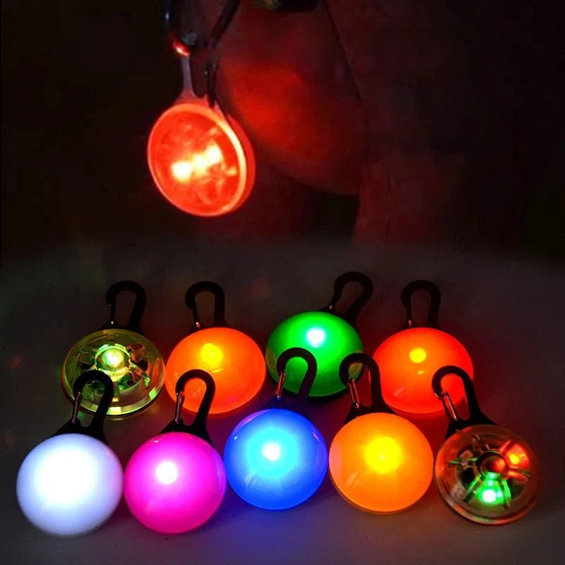 LED Pet Collar Light for Dogs & Cats – LeadMate™
