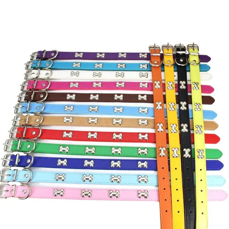 Leather Dog Collar with Bone Detail – RouteGo™