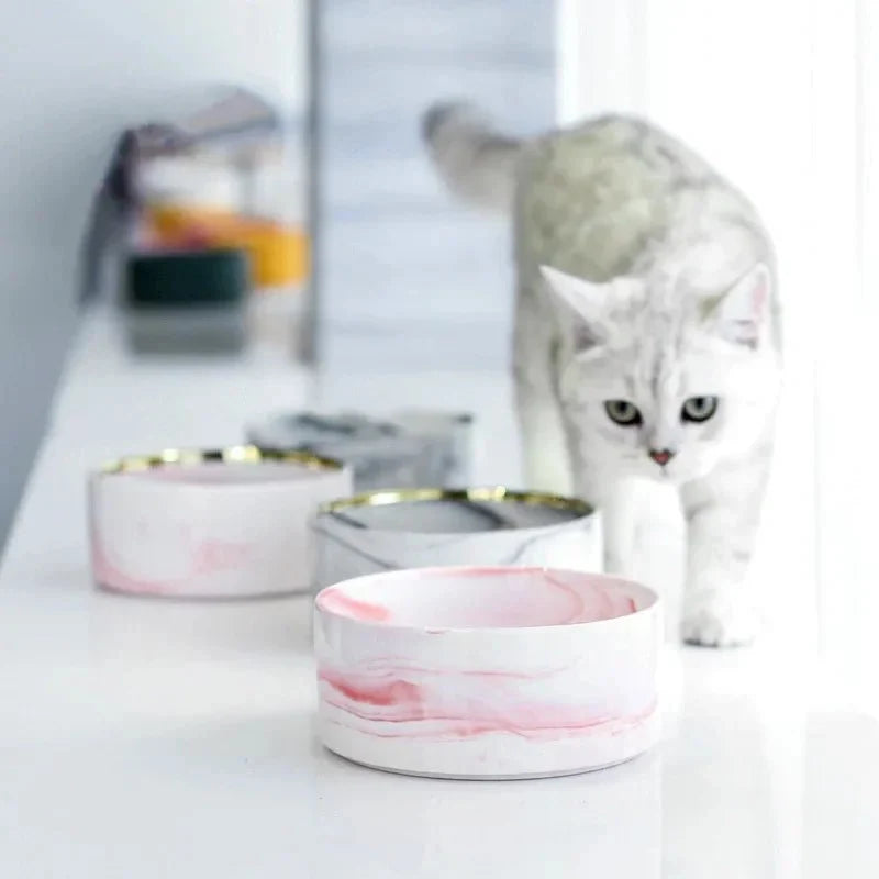 Marble Ceramic Cat Food Bowl with Wooden Stand – FeedTrail™