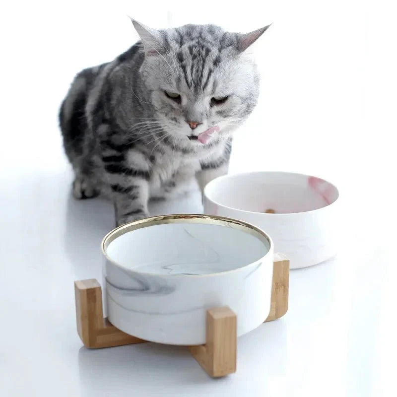 Marble Ceramic Cat Food Bowl with Wooden Stand – FeedTrail™