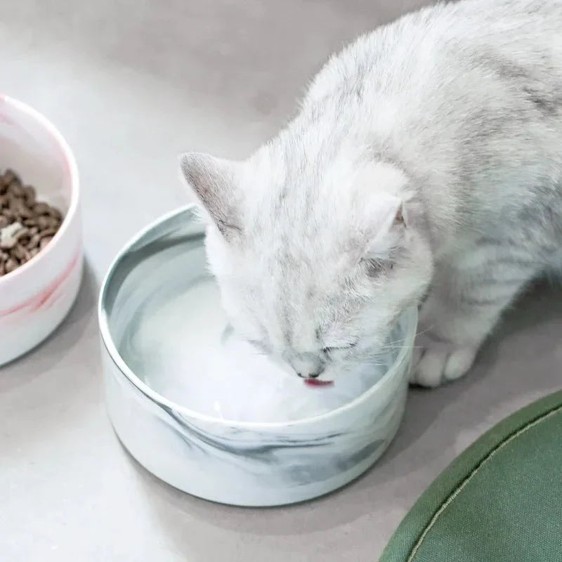 Marble Ceramic Cat Food Bowl with Wooden Stand – FeedTrail™