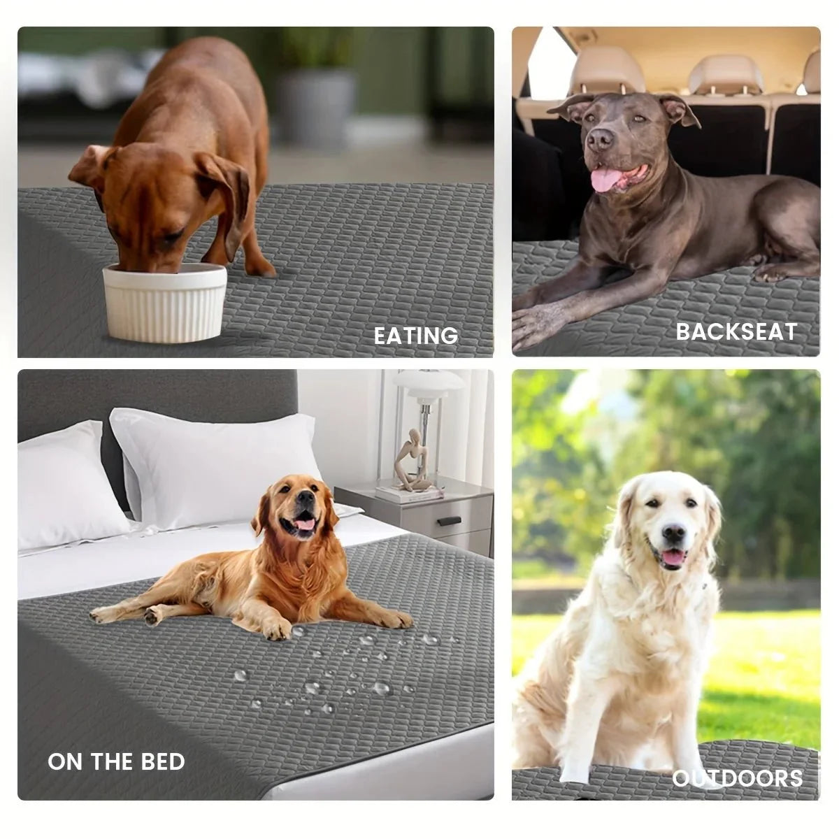Waterproof Non-Slip Pet Blanket & Furniture Protector – ReadyPath™