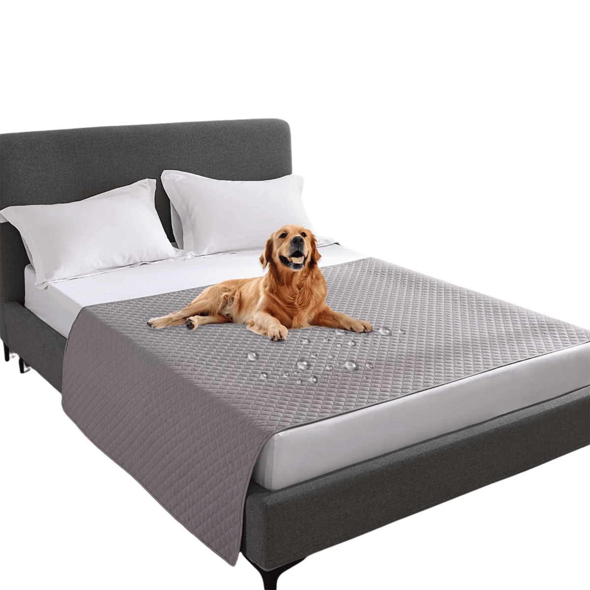 Waterproof Non-Slip Pet Blanket & Furniture Protector – ReadyPath™