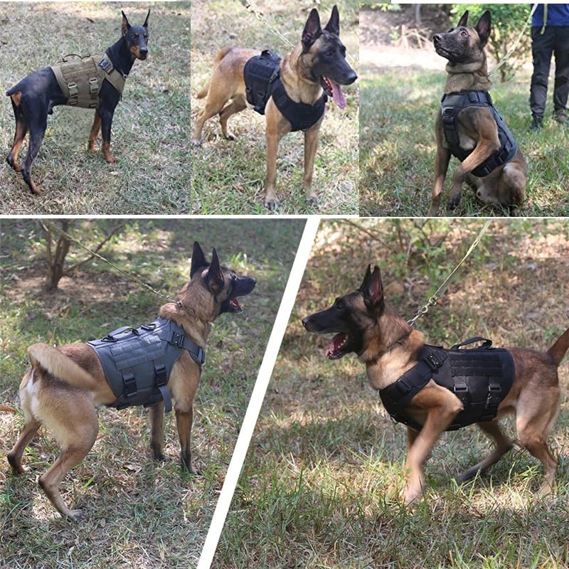 Tactical Adjustable Dog Harness with Handle – SecureSphere™