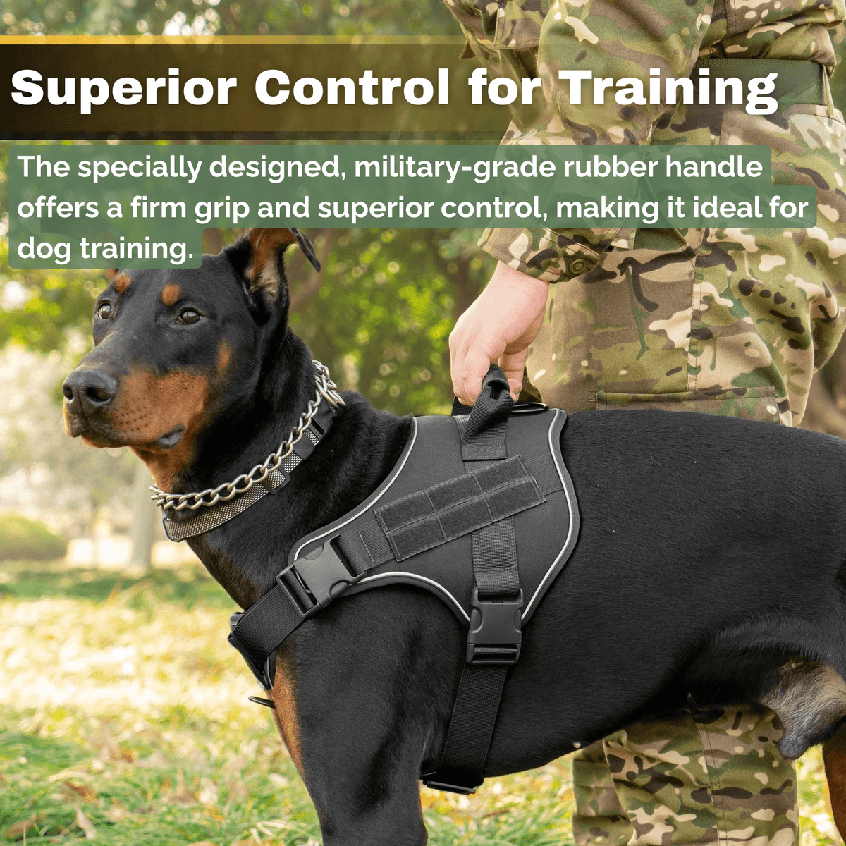 Tactical Dog Harness for Training – WalkMotion™