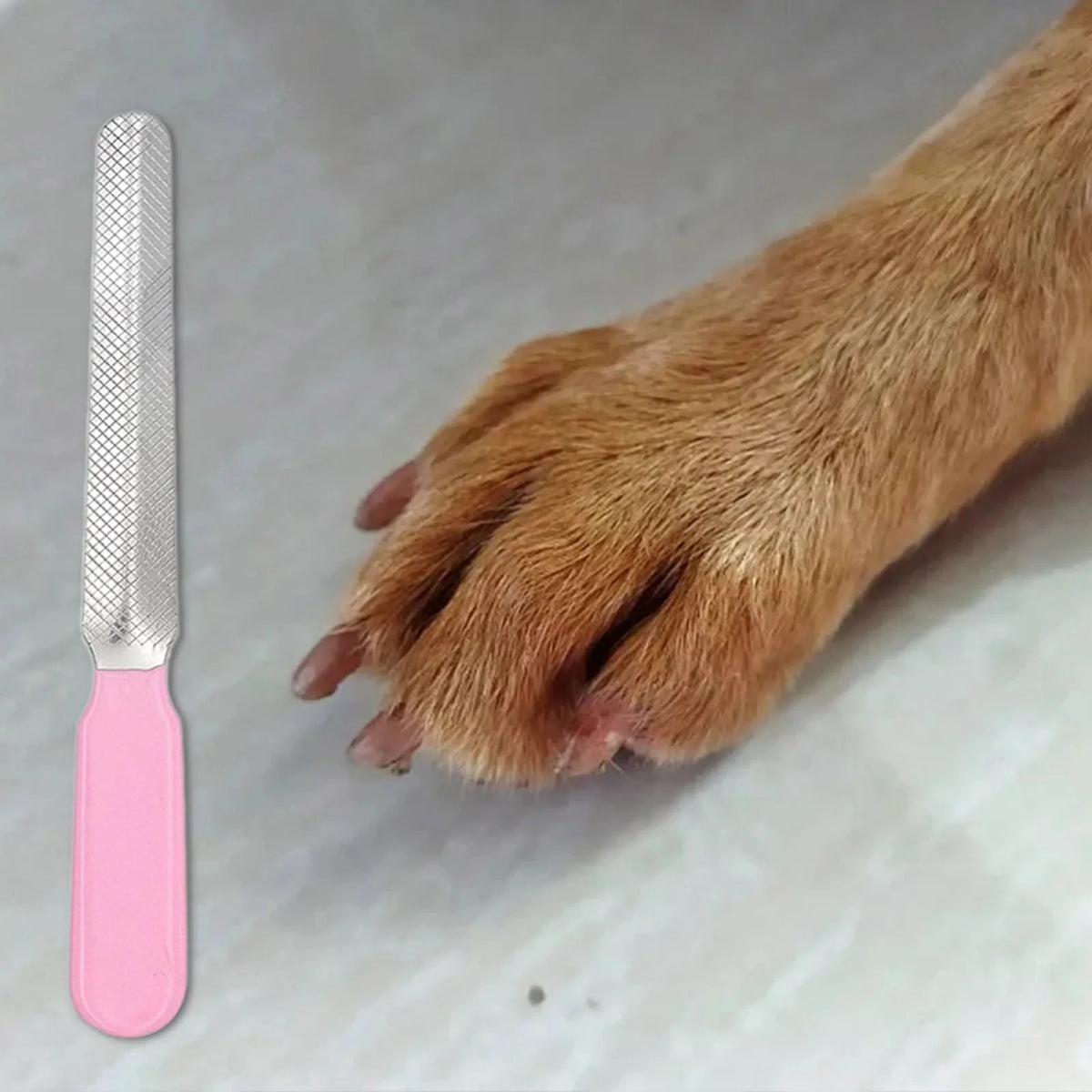 Stainless Steel Pet Nail File for Dogs & Cats – CareHaven™
