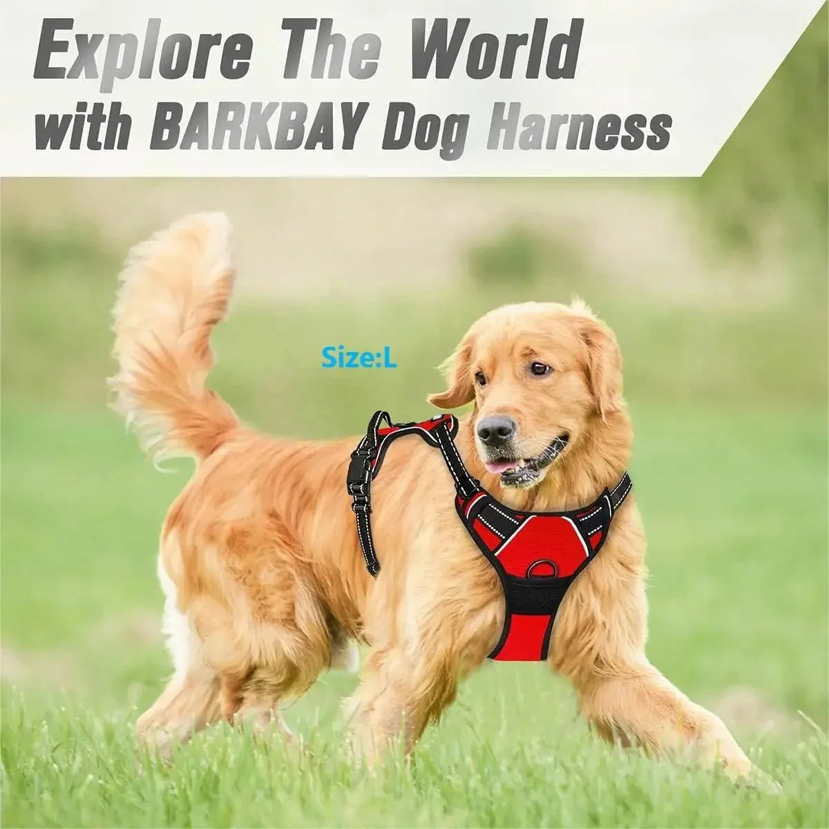 No-Pull Front-Clip Dog Harness – SecureCore™