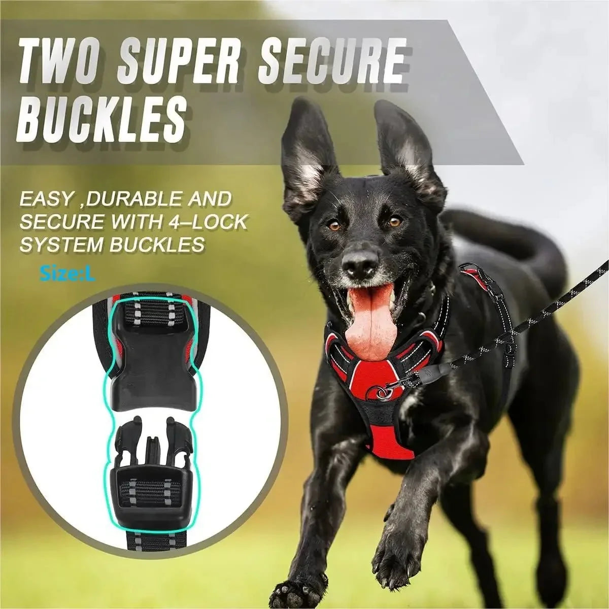 No-Pull Front-Clip Dog Harness – SecureCore™