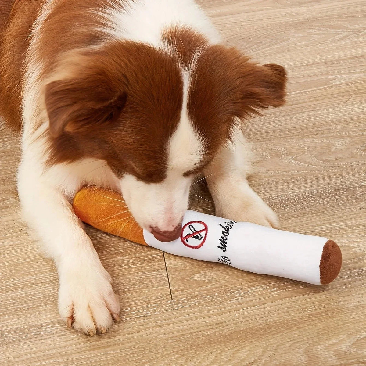Squeaky Plush Chew Toy for Dogs – BrainSelect™