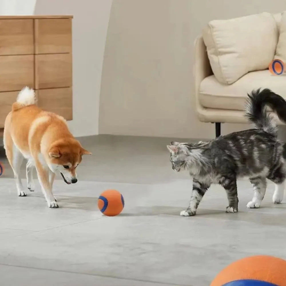 Durable Dog Ball for Strong Chewers – ChaseQuest™