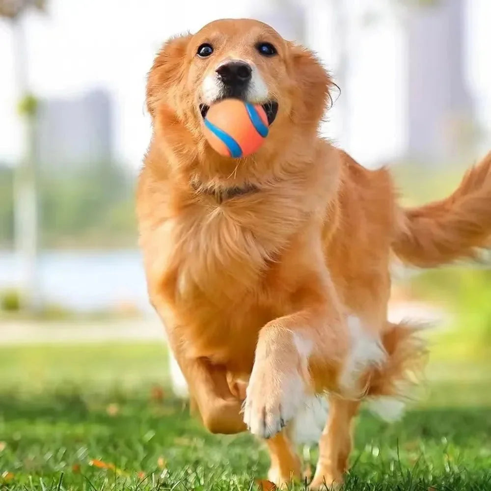 Durable Dog Ball for Strong Chewers – ChaseQuest™