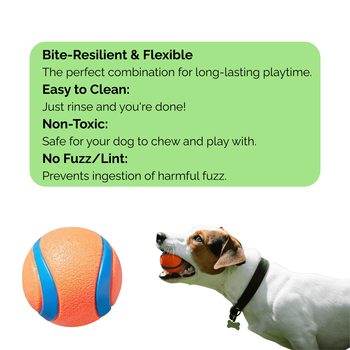 Durable Dog Ball for Strong Chewers – ChaseQuest™