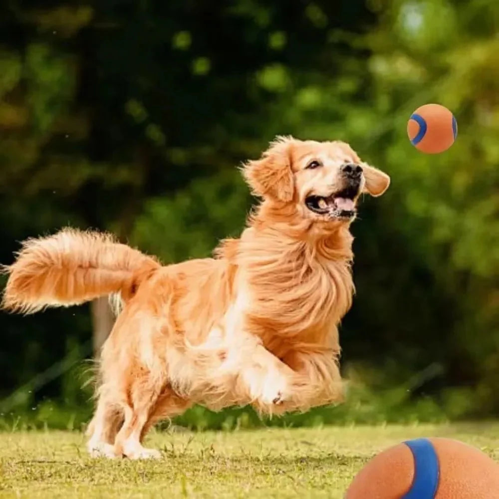 Durable Dog Ball for Strong Chewers – ChaseQuest™