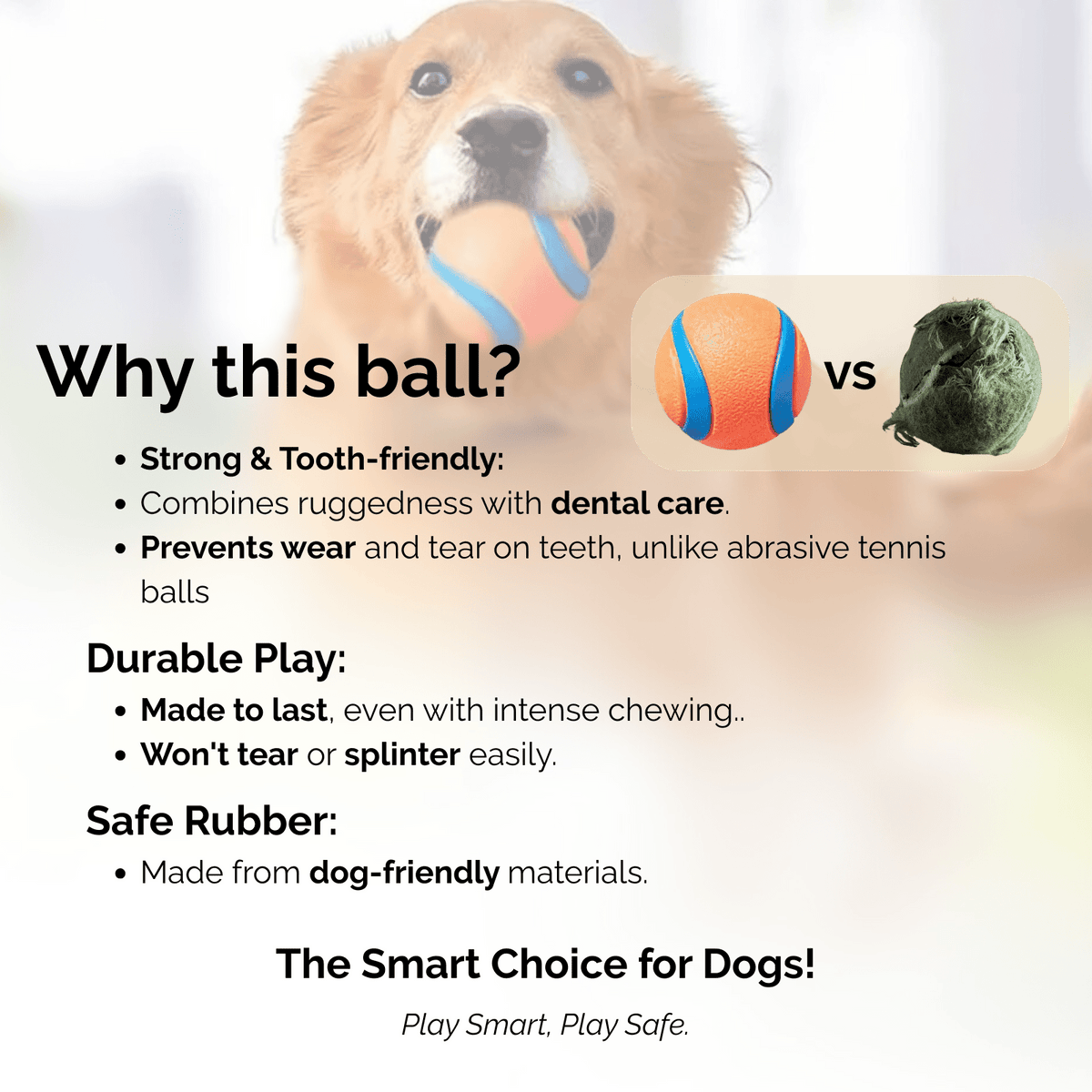 Durable Dog Ball for Strong Chewers – ChaseQuest™