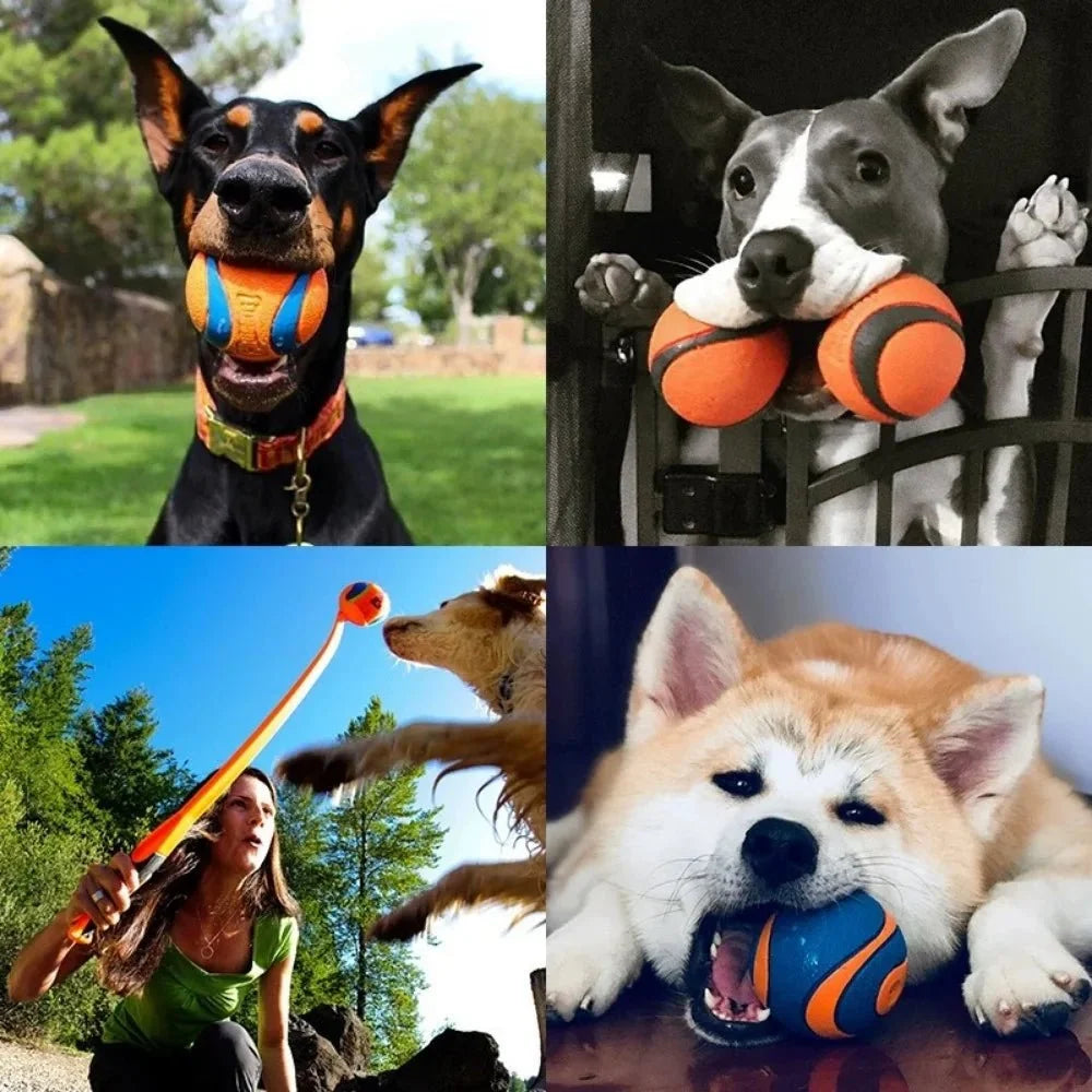Durable Dog Ball for Strong Chewers – ChaseQuest™