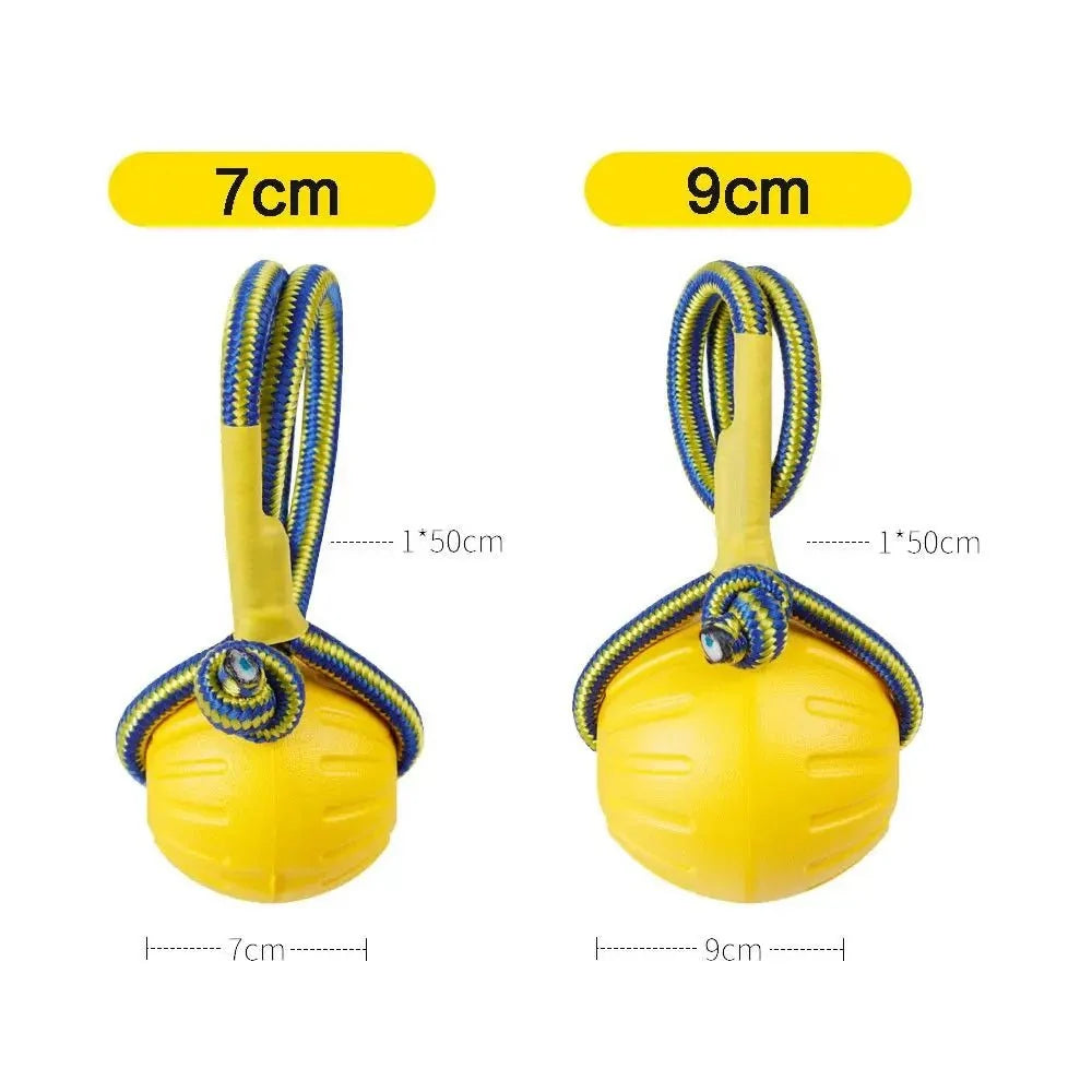 Durable Floating Dog Ball for Fetch – ChaseCore™