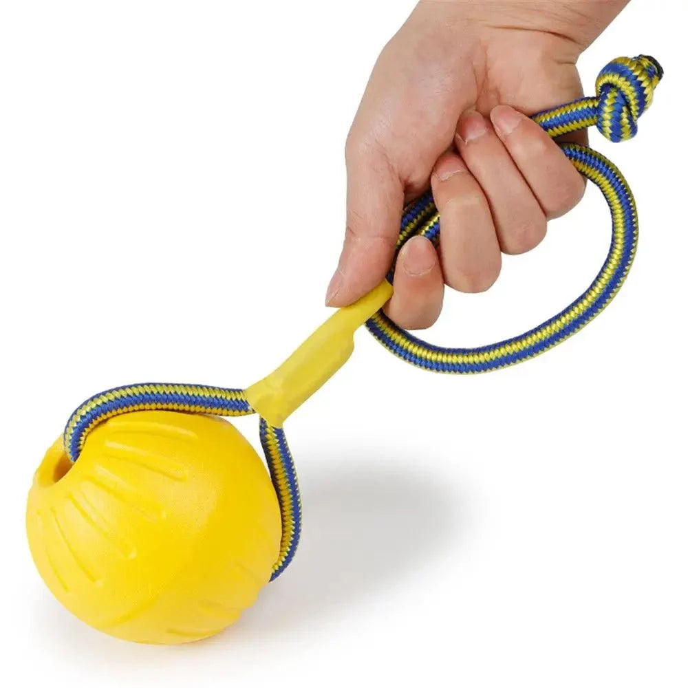 Durable Floating Dog Ball for Fetch – ChaseCore™