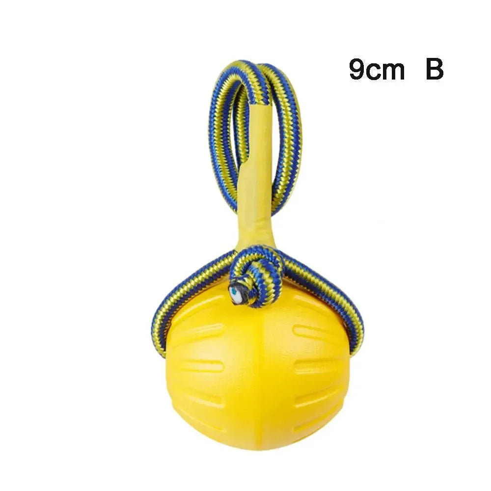 Durable Floating Dog Ball for Fetch – ChaseCore™