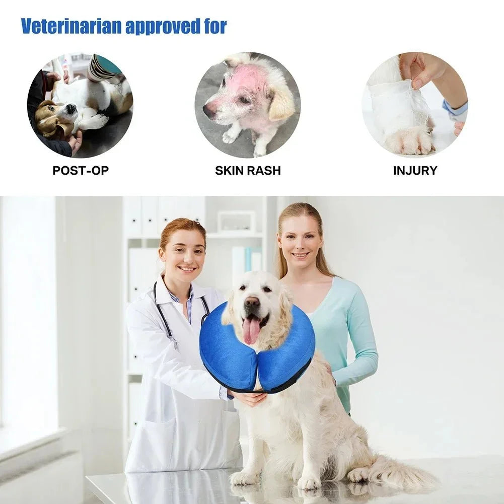 Inflatable Protective Collar for Dogs & Cats – TrailGo™