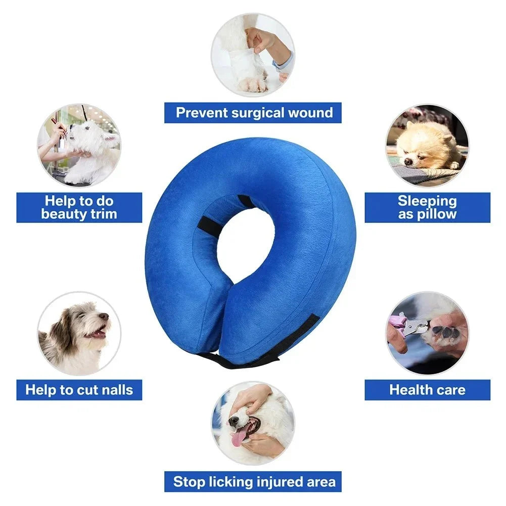 Inflatable Protective Collar for Dogs & Cats – TrailGo™