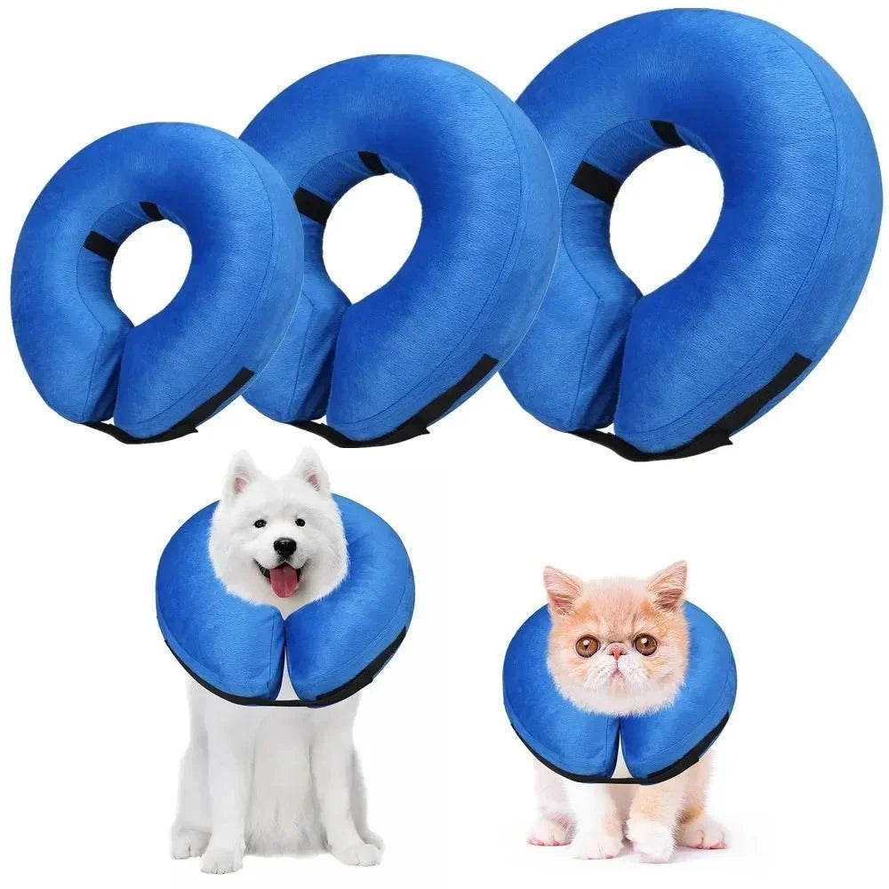 Inflatable Protective Collar for Dogs & Cats – TrailGo™