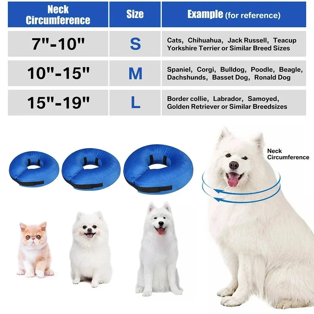 Inflatable Protective Collar for Dogs & Cats – TrailGo™