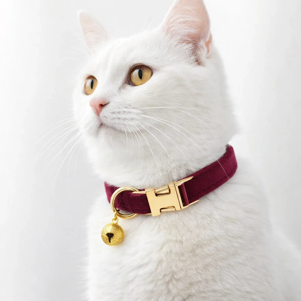 Reflective Cat Collar with Bell – FlexFlow™