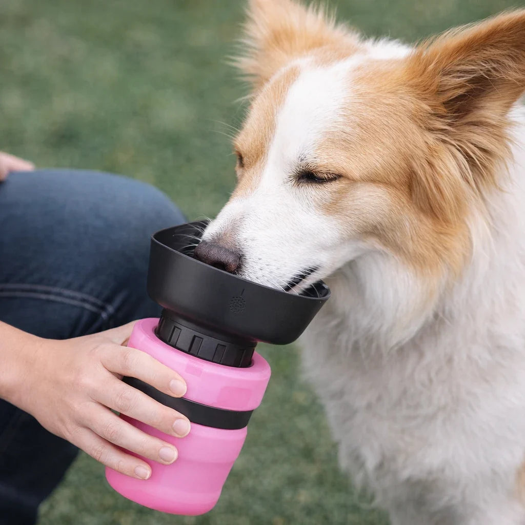 Portable Pet Water Bottle – FlowFlow™