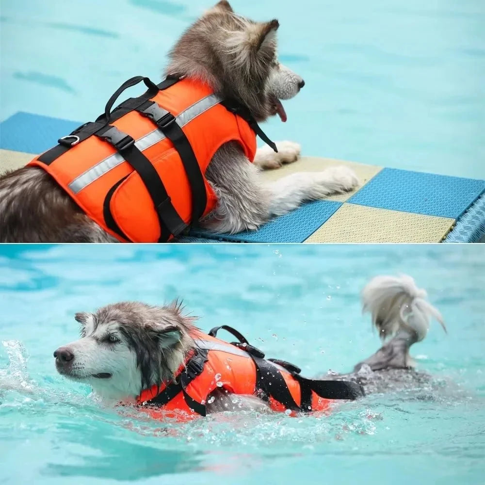 Dog Life Jacket – EverydayEase™