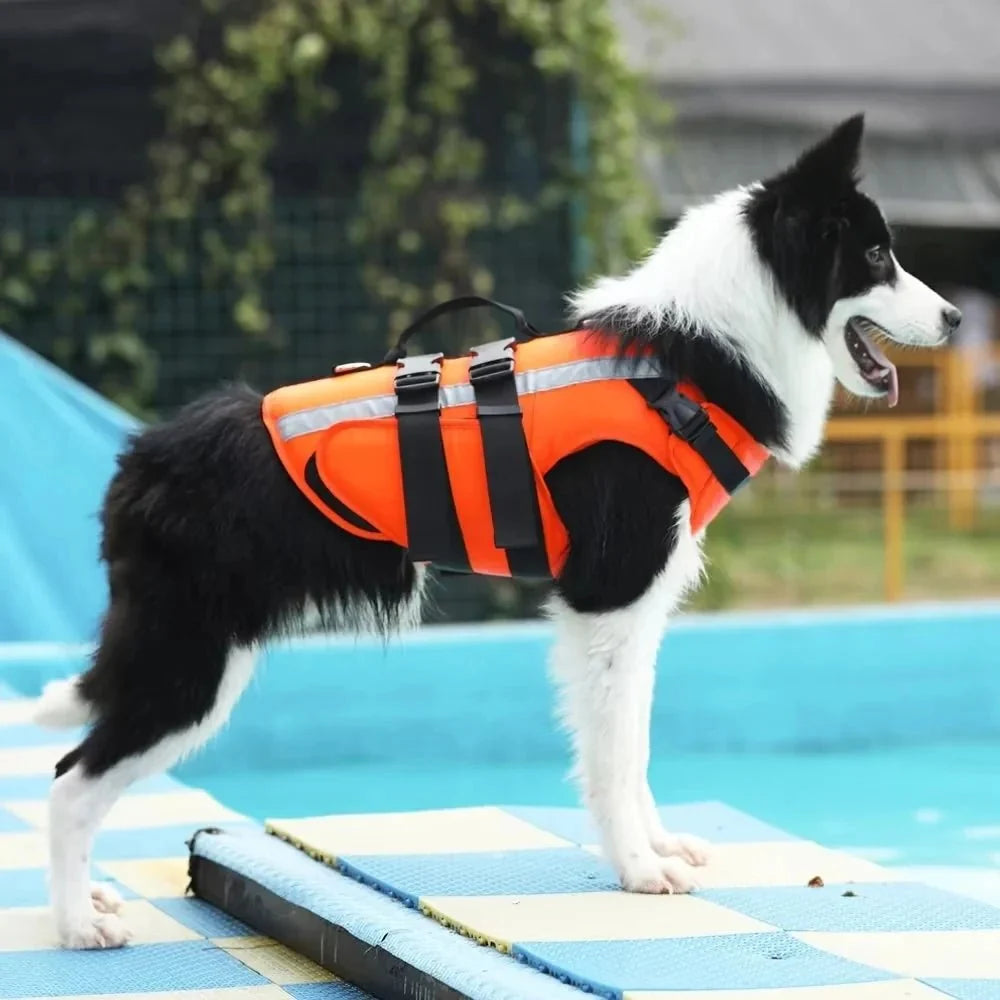 Dog Life Jacket – EverydayEase™