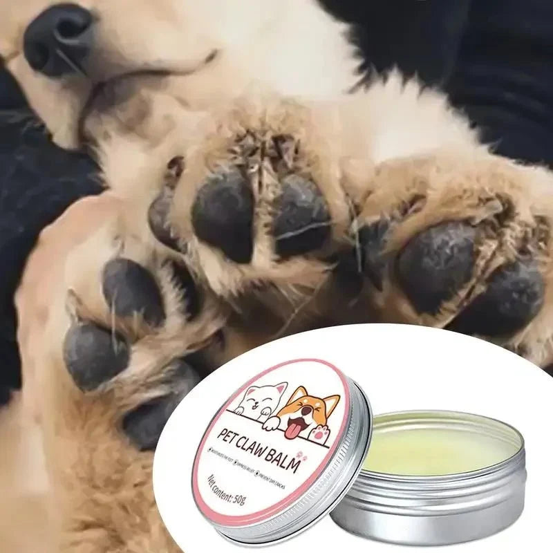 Nose & Paw Balm for Dogs & Cats – CareCore™