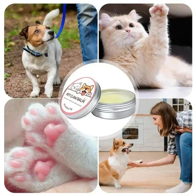 Nose & Paw Balm for Dogs & Cats – CareCore™
