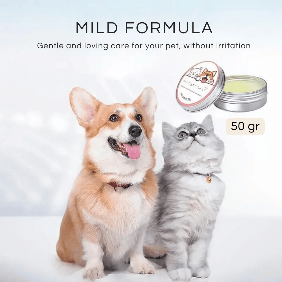 Nose & Paw Balm for Dogs & Cats – CareCore™