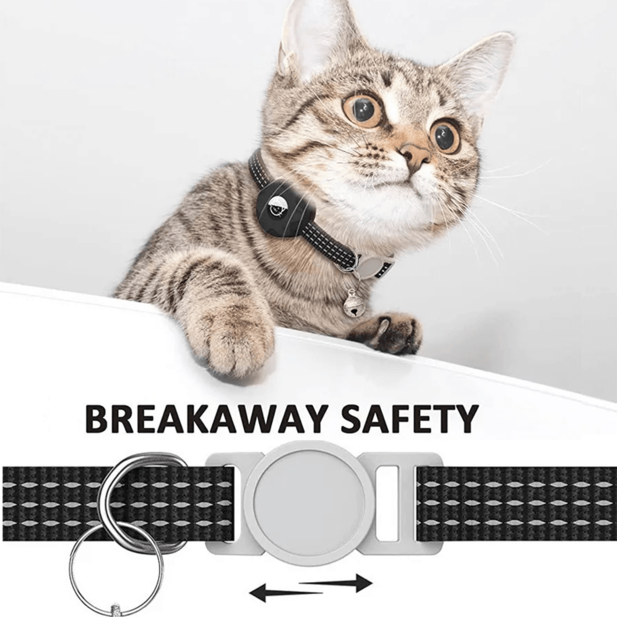 Android Pet Tracker Collar – WatchSphere™