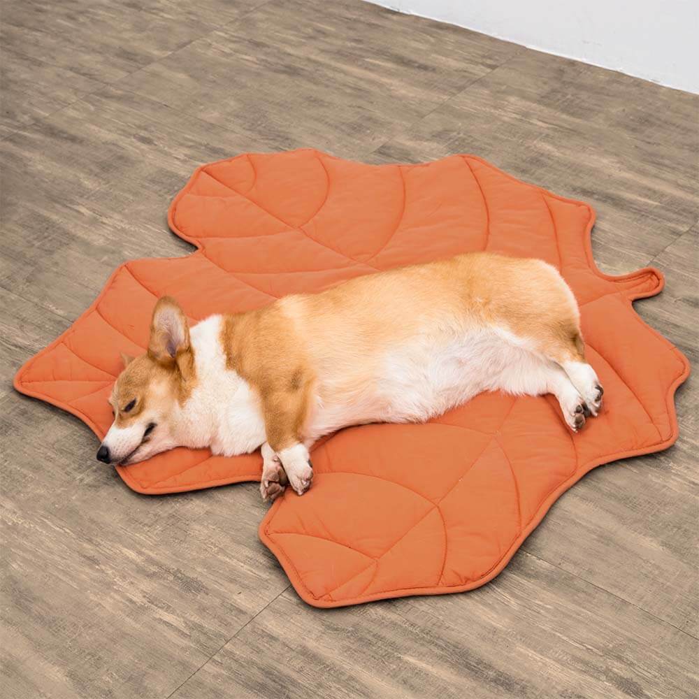 Soft Plush Pet Bed for Dogs & Cats – HavenSphere™
