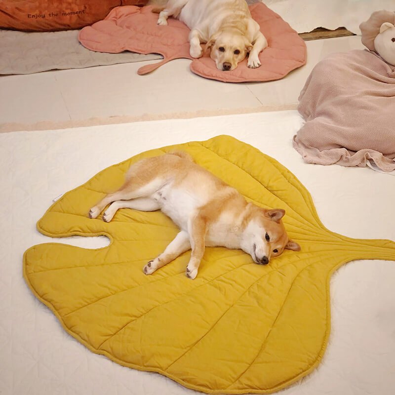 Soft Plush Pet Bed for Dogs & Cats – HavenSphere™