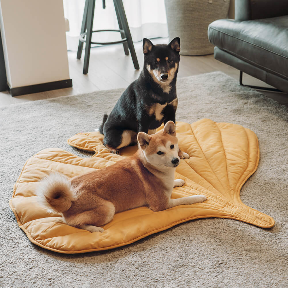 Soft Plush Pet Bed for Dogs & Cats – HavenSphere™